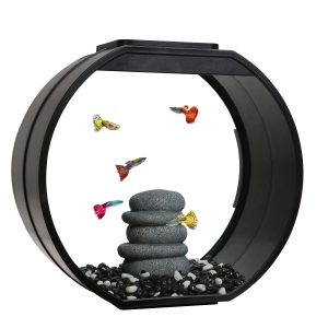 Deco O Designer Aquarium
