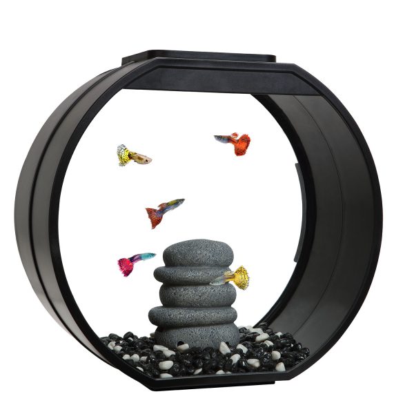 Deco O Designer Aquarium