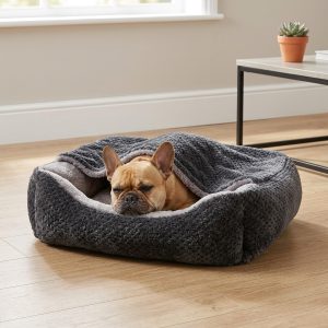 2 in 1 Blanket Pet Bed